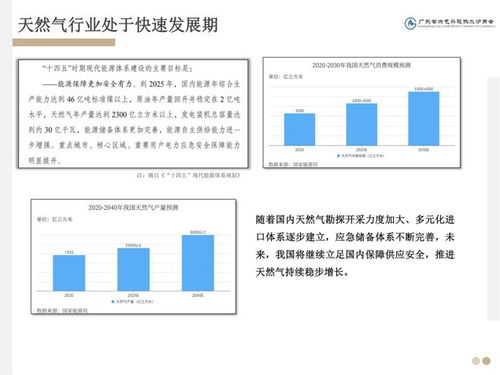 雙碳背景下的供熱革命 全預混冷凝爐技術(shù)推廣之路